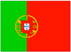 Portuguese Language Tuition